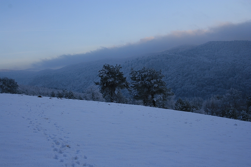 Bieszczady 12.2007 053